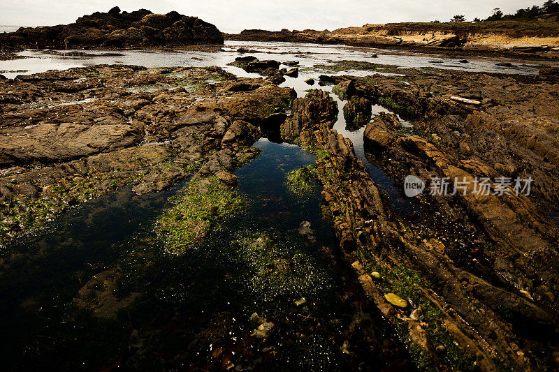 Point Lobos海岸视图